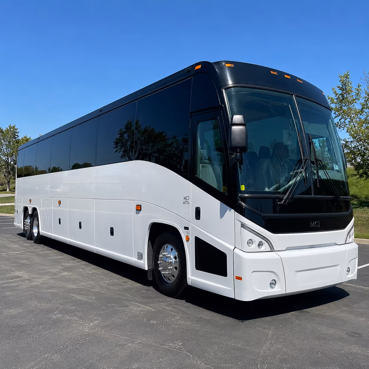 charter buses to connecticut s beardsley zoo and bridgeport s best field trip spots