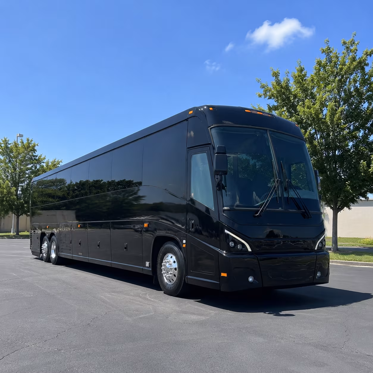 citywide revival praise events and special worship service transportation